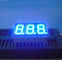 0,36 avancez l'affichage à LED petit à petit Numérique, l'affichage mené par segment 80mcd - 100mcd du dight 7 du bleu 3