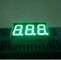 0,36 avancez l'affichage à LED petit à petit Numérique, l'affichage mené par segment 80mcd - 100mcd du dight 7 du bleu 3