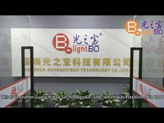 Conception personnalisée affichage LED à 7 segments cathode commune pour indicateur de température