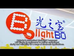 Affichage LED multicolore personnalisé à 7 segments