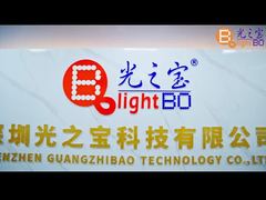 Barre lumineuse LED blanche ultra brillante à 12 et 10 segments